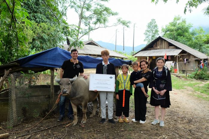 hotel-de-la-coupole-donates-water-buffaloes-for-disadvantaged-households-in-lao-cai