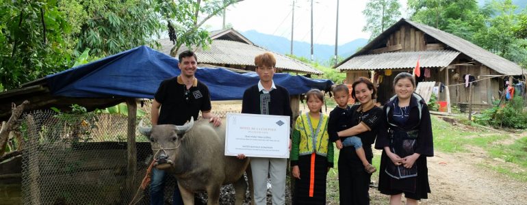 hotel-de-la-coupole-donates-water-buffaloes-for-disadvantaged-households-in-lao-cai