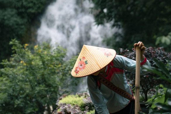mang-luoi-giao-thong